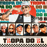Tropa do BL - Mc Binn & MC 7 Belo & DJ Gordinho da VF & Mc PL Alves & MC Dricka & Luana Maia