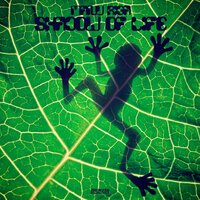 Shadow of Life - Manu Riga