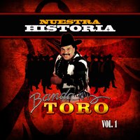 Serenata Sin Luna - Banda Toro