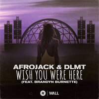 Wish You Were Here - Afrojack & Dlmt & Brandyn Burnette