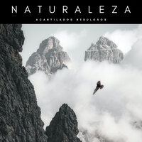 Montañas Sobre Hielo - Paz Nirvana & Sonidos Naturaleza & Ruidos de la Selva