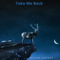 Take Me Back - Najam Sheraz