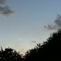 What I Can Never Understand - Dancer