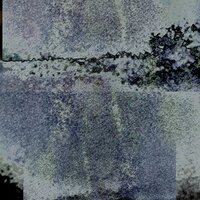 Shade Without Shadow, Pt. 10 - Henri Roger