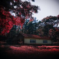 You Have Me In Love, From Head To Toe - Marcelo Rezende & Stephen DeRuby & Kiran Murti