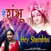 Hey Shambhu - Anuja Sinha & Anand Milind