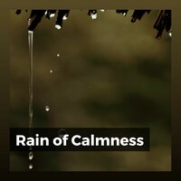 Key Passes - Rain Sounds & Rain Atmospheres & Rain Sounds Nature Collection