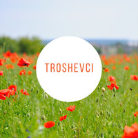 Troshevci - Dimor