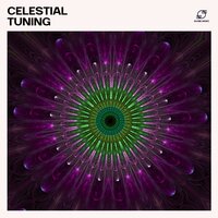 Reiki Healing Music - Hz Frequency Zone & Alpha Waves Focus & Binaural Beats Brain Waves & Binaural Focus Frequencies