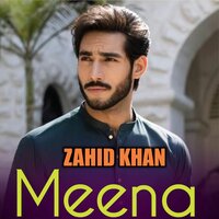 Nari Nari Wowra Warege Skre Balige Da Nagre Gary La Rasha - Zahid Khan