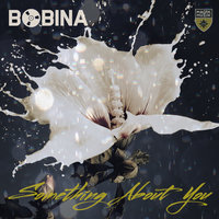 Something About You - Bobina