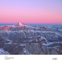 Crusader No Reinforcement - A Thousand Details