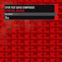 Spiritual Meeting - Dyor & David Gionfriddo