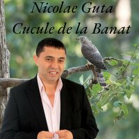 Cucule de la Banat - Nicolae Guta