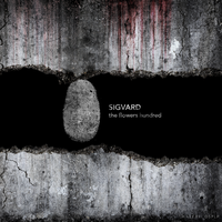 Nightlife Miracles - Sigvard