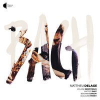 Goldberg Variations, BWV 988: Variation 8 - Matthieu Delage & Guillaume Perret & Johann Sebastian Bach