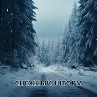 Зимняя сказка - Музыка для холода & Снимающая стресс мелодия от холода & Музыка для мира в доме