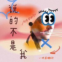 说的不是我 - 一块姜糖er