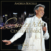 Nel blu, dipinto di blu (volare) - Andrea Bocelli & David Foster & New York Philharmonic Orchestra & Alan Gilbert