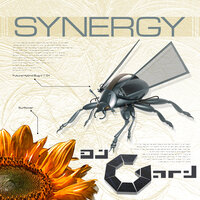 Falling Stars 9.0 - DJ Gard & Synergy