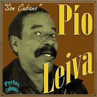 Bajo un Palmar - Pio Leiva
