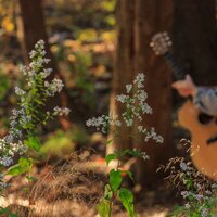 Thoughts While I Walk - Paul Thomas Hunt