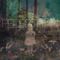 Hei Poa - Pedestrian & Frederic Robinson