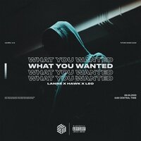 What You Wanted - LANNÉ & Hawk & Leo & HÄWK & hawk.