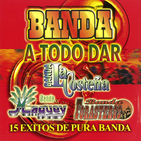 Flor de Higuera - Banda la Costeña