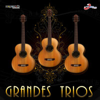 Vagabundo - Trio San Juan