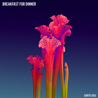 Rough Times - CURTIS COLE