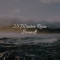 Rain Out Back - Sleep Sounds Rain & Rain Sounds Rain & Regen zum Schlafen