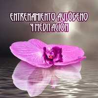 Mindfulness Meditation - Academia de Música de la Música Ambiente