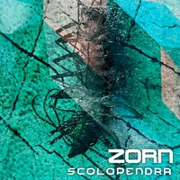 Scolopendra - Zorn