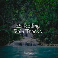 Rain, Nature, Medium, Light Wind - Tinnitus & Rain Sounds For Sleep & Asmr Sleep Sounds