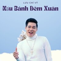 Nếu Được Làm Người Tình - Short Version 2 - Lưu Chí Vỹ & Dương Hồng Loan