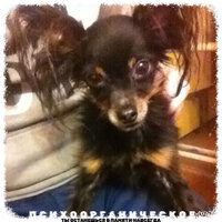 Ты останешься в памяти навсегда - ПСИХООРГАНИЧЕСКОЕ