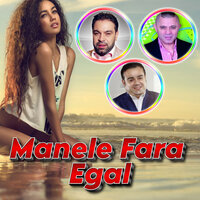 Manele vechi 2005-2009 - Florin Salam & Nicolae Guta & Sorin Copilul de Aur & Adrian Copilul Minune & Vali Vijelie