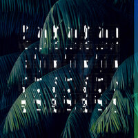 Datura Noir - Franz Kirmann