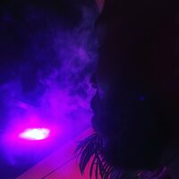 Guidance - Cadence 808 & Blvkdmnd & Vega