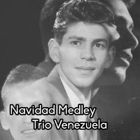 Navidad Medley: Ramos de Alegria / Triste Navidad / Alegrias de Navidad / La Navidad / La Puertas por la Ventana / Arbolito de Navidad - Trío Venezuela