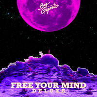 Free Your Mind - Big Gigantic & Jennifer Hartswick