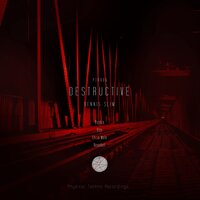 Destructive - Dennis Slim & Chris Mole