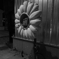 Elveda - Kırık Pena