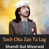 Soch Oka Zan Ta Lag - Shandi Gul Mizarwal