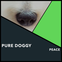 Therapeutic Sleep Moments - Puppy Music & Puppy Music Therapy