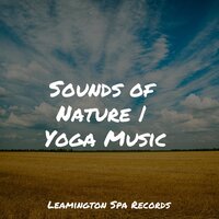 Calming Breeze - Relajantes sonidos de lluvia & It's Raining & Ambient Music Therapy