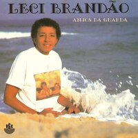 É a Lei, É a Lei - Leci Brandão