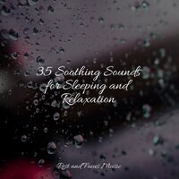 Flowing River - Kings of Nature & Spa Zen & Shakuhachi Sakano