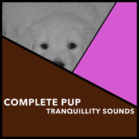 Friendly Slumber - Puppy Music & Puppy Music Therapy